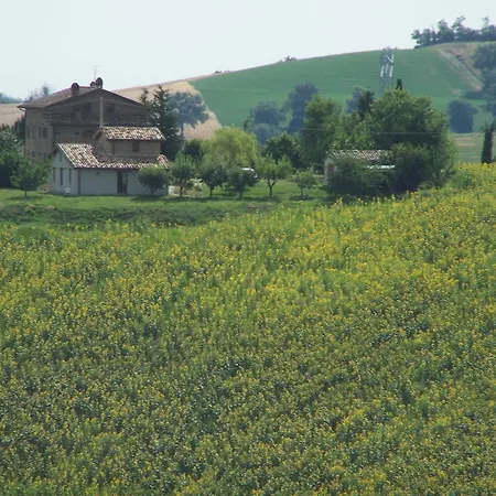Le Spiazzette Holiday home *