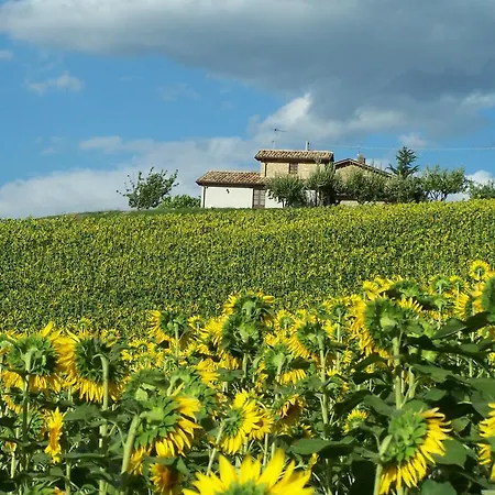 Holiday home Le Spiazzette Sarnano